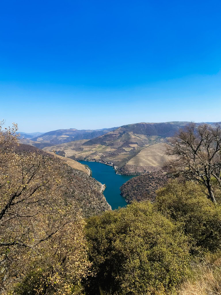 São Salvador do Mundo